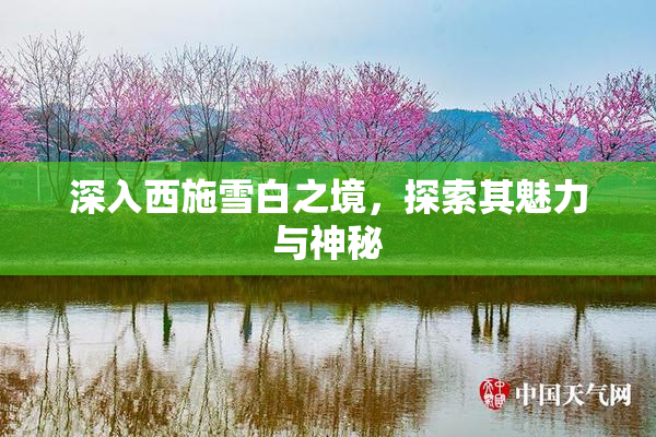 深入西施雪白之境，探索其魅力与神秘