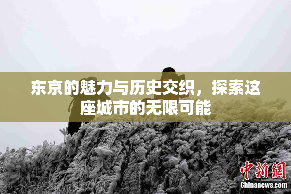 东京的魅力与历史交织，探索这座城市的无限可能