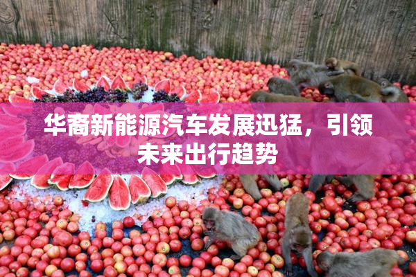 华裔新能源汽车发展迅猛，引领未来出行趋势