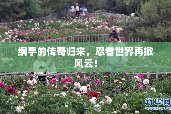 纲手的传奇归来，忍者世界再掀风云！