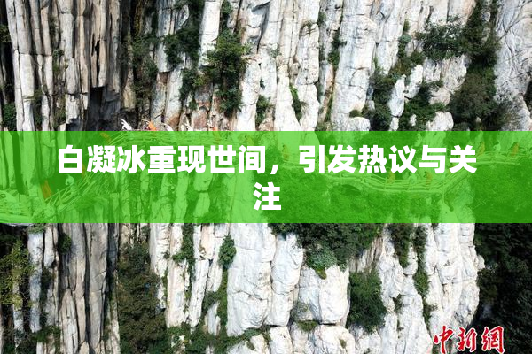 白凝冰重现世间，引发热议与关注