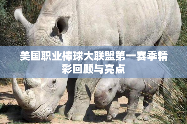 美国职业棒球大联盟第一赛季精彩回顾与亮点