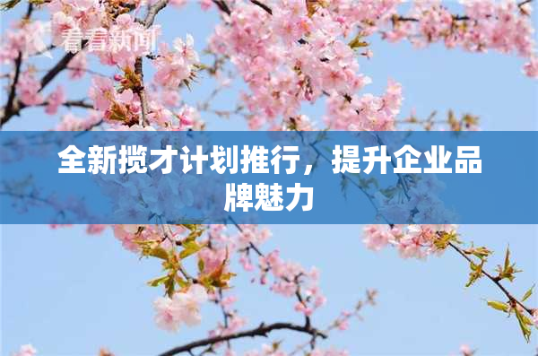 全新揽才计划推行，提升企业品牌魅力