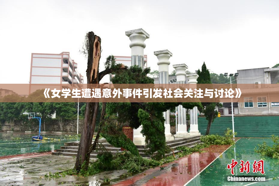 《女学生遭遇意外事件引发社会关注与讨论》