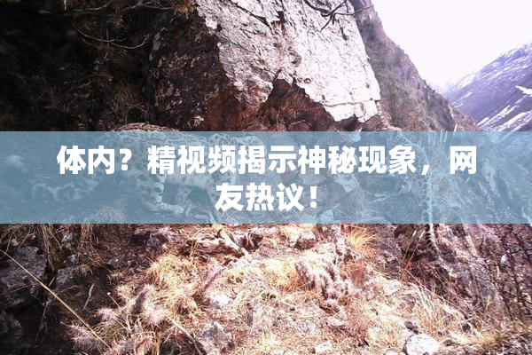 体内？精视频揭示神秘现象，网友热议！