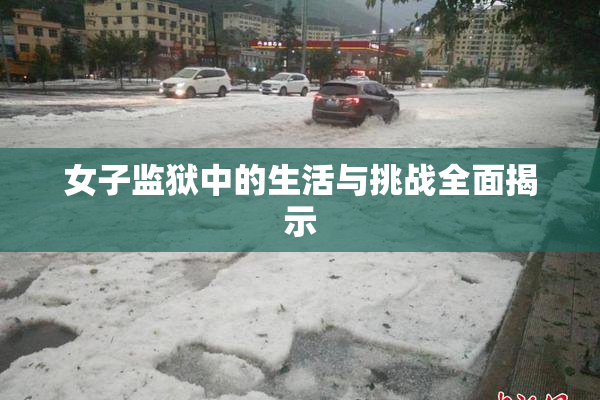 女子监狱中的生活与挑战全面揭示