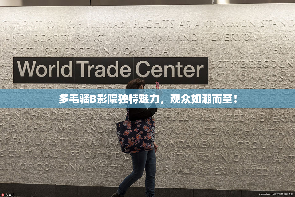 多毛骚B影院独特魅力，观众如潮而至！