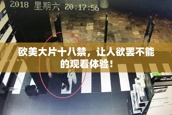 欧美大片十八禁，让人欲罢不能的观看体验！
