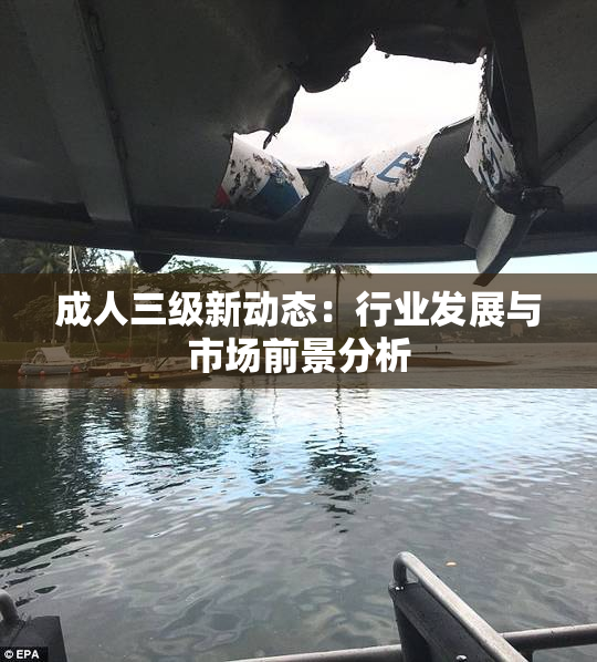 成人三级新动态：行业发展与市场前景分析