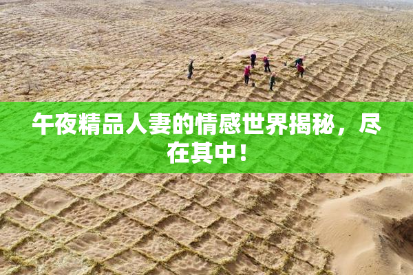 午夜精品人妻的情感世界揭秘，尽在其中！