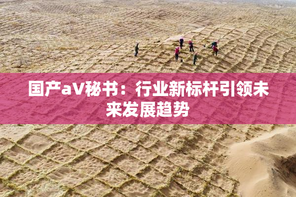 国产aV秘书：行业新标杆引领未来发展趋势