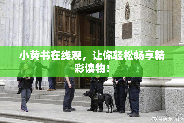 小黄书在线观，让你轻松畅享精彩读物！