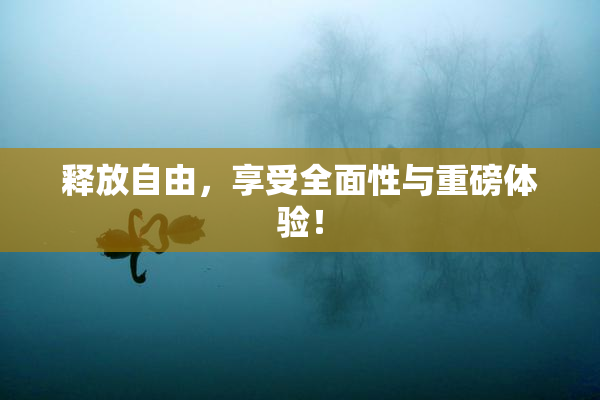 释放自由，享受全面性与重磅体验！