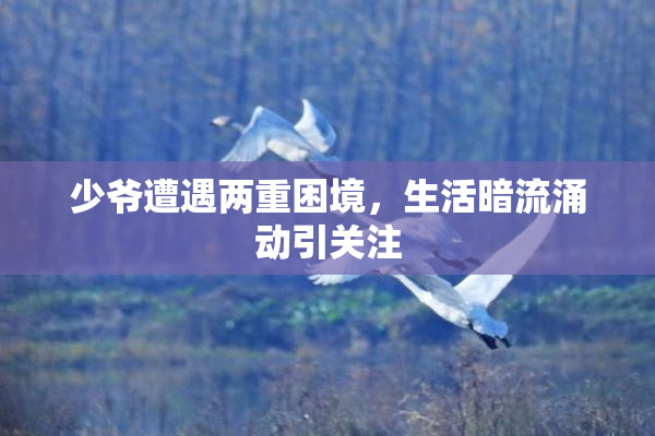 少爷遭遇两重困境，生活暗流涌动引关注