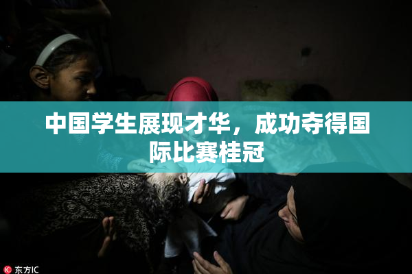 中国学生展现才华，成功夺得国际比赛桂冠