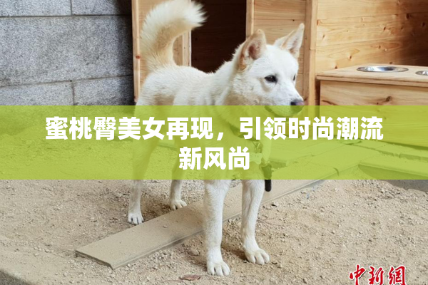 蜜桃臀美女再现，引领时尚潮流新风尚