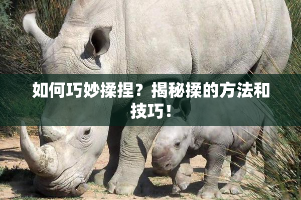 如何巧妙揉捏？揭秘揉的方法和技巧！