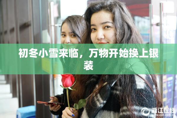 初冬小雪来临，万物开始换上银装