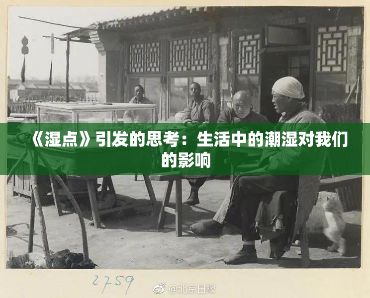 《湿点》引发的思考：生活中的潮湿对我们的影响