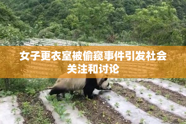 女子更衣室被偷窥事件引发社会关注和讨论