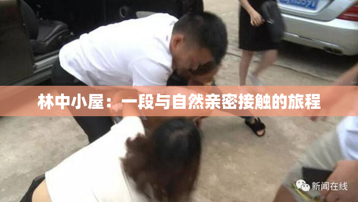 林中小屋：一段与自然亲密接触的旅程