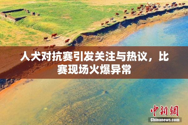 人犬对抗赛引发关注与热议，比赛现场火爆异常
