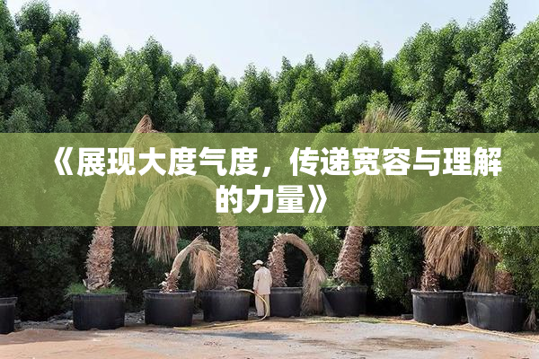 《展现大度气度，传递宽容与理解的力量》