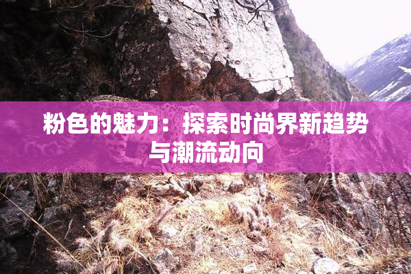 粉色的魅力：探索时尚界新趋势与潮流动向