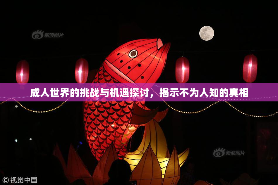 成人世界的挑战与机遇探讨，揭示不为人知的真相
