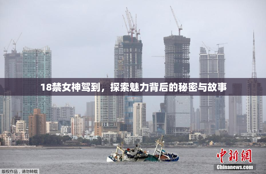 18禁女神驾到，探索魅力背后的秘密与故事