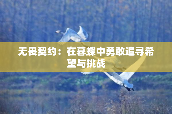 无畏契约：在暮蝶中勇敢追寻希望与挑战