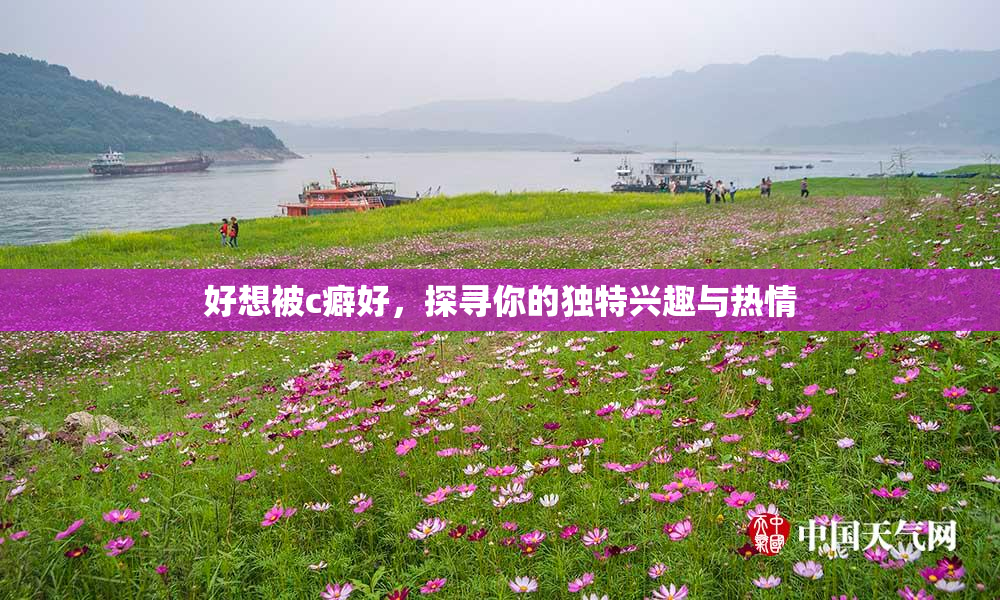 好想被c癖好，探寻你的独特兴趣与热情