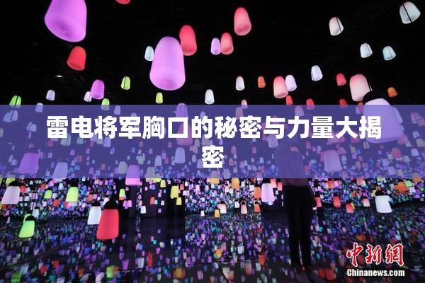 雷电将军胸口的秘密与力量大揭密