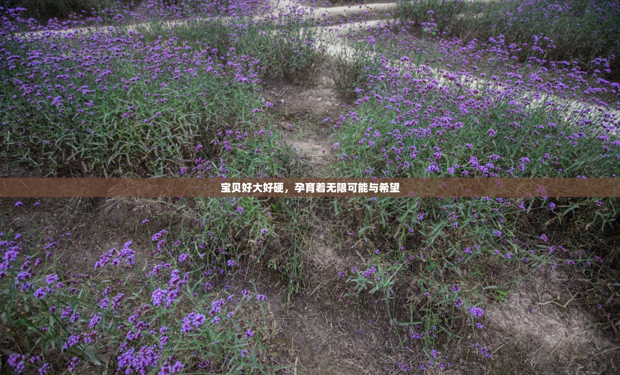 宝贝好大好硬，孕育着无限可能与希望
