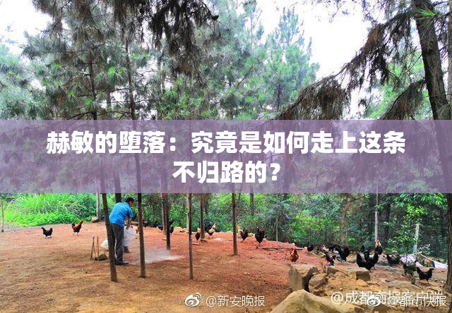 赫敏的堕落：究竟是如何走上这条不归路的？