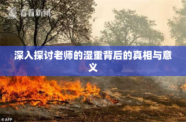 深入探讨老师的湿重背后的真相与意义
