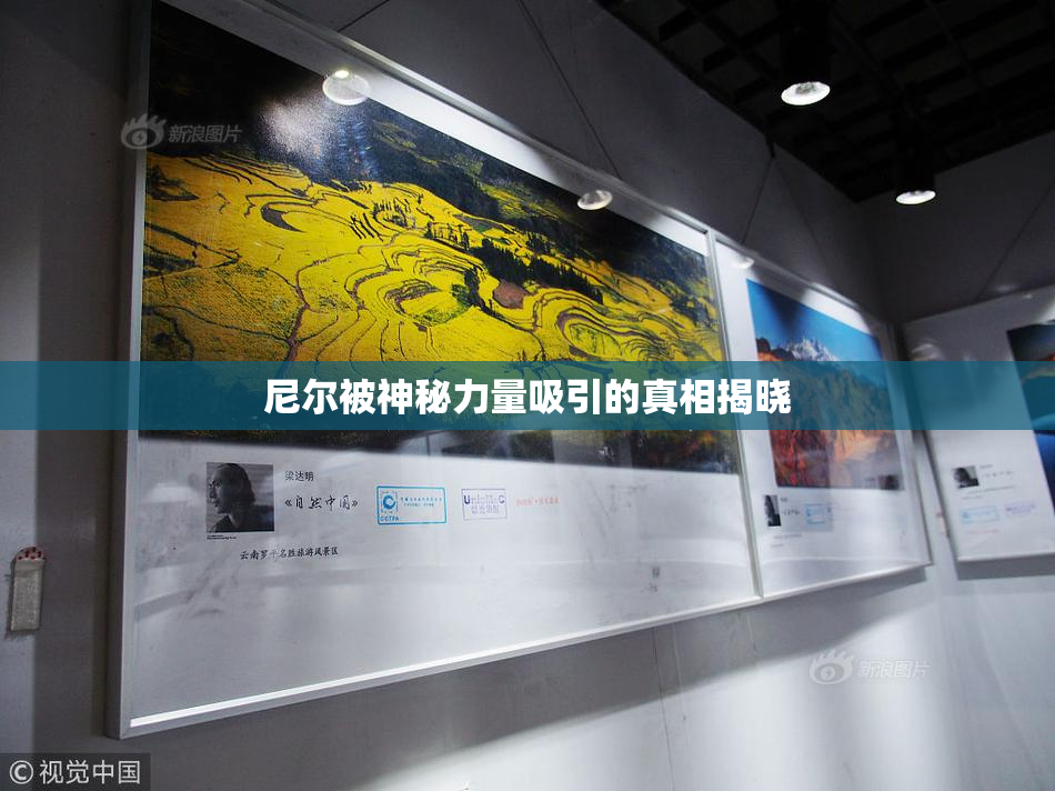 尼尔被神秘力量吸引的真相揭晓