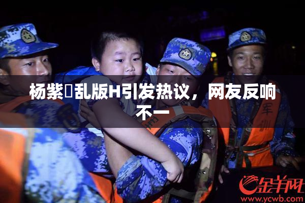 杨紫婬乱版H引发热议，网友反响不一