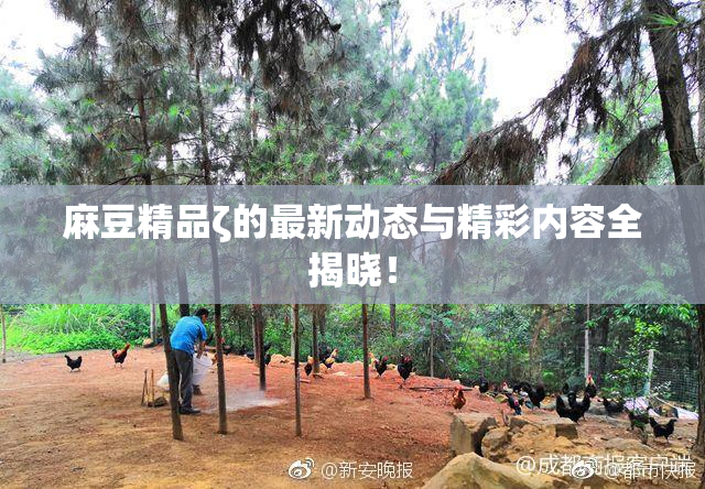麻豆精品ζ的最新动态与精彩内容全揭晓！