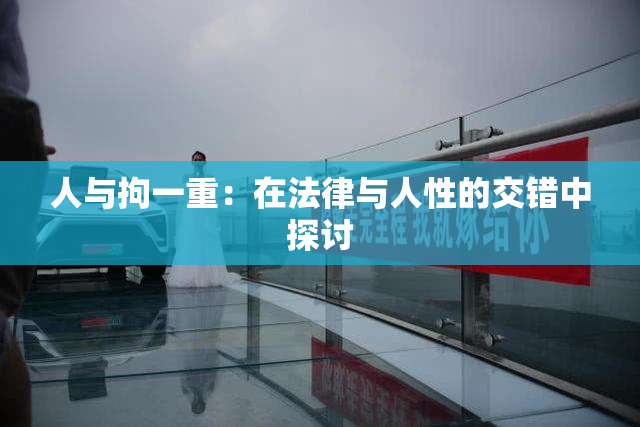人与拘一重：在法律与人性的交错中探讨