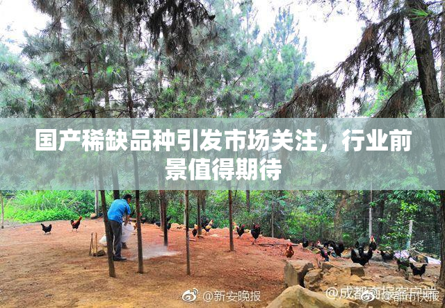 国产稀缺品种引发市场关注，行业前景值得期待