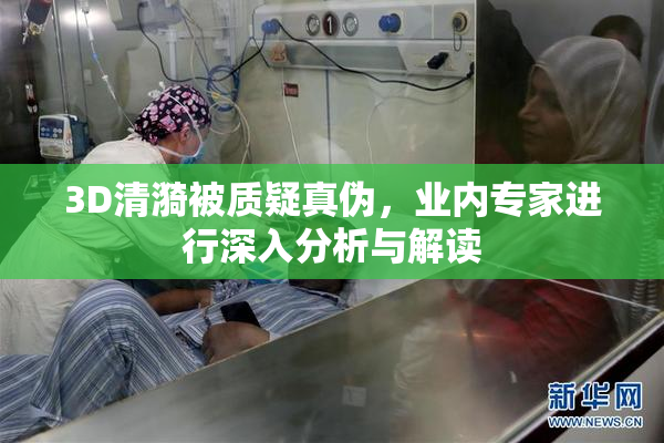 3D清漪被质疑真伪，业内专家进行深入分析与解读