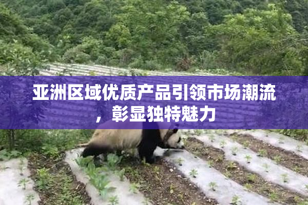 亚洲区域优质产品引领市场潮流，彰显独特魅力