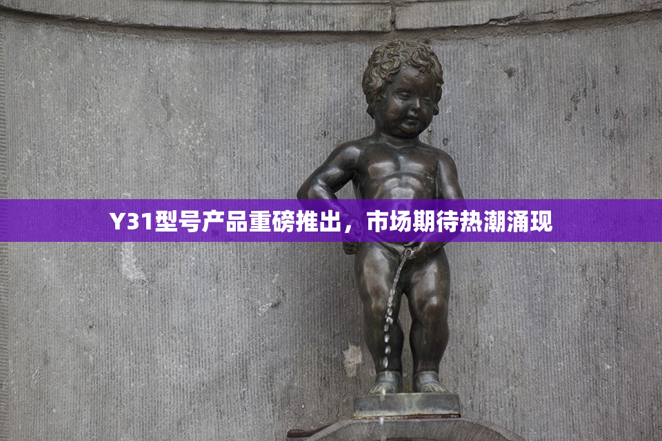 Y31型号产品重磅推出，市场期待热潮涌现