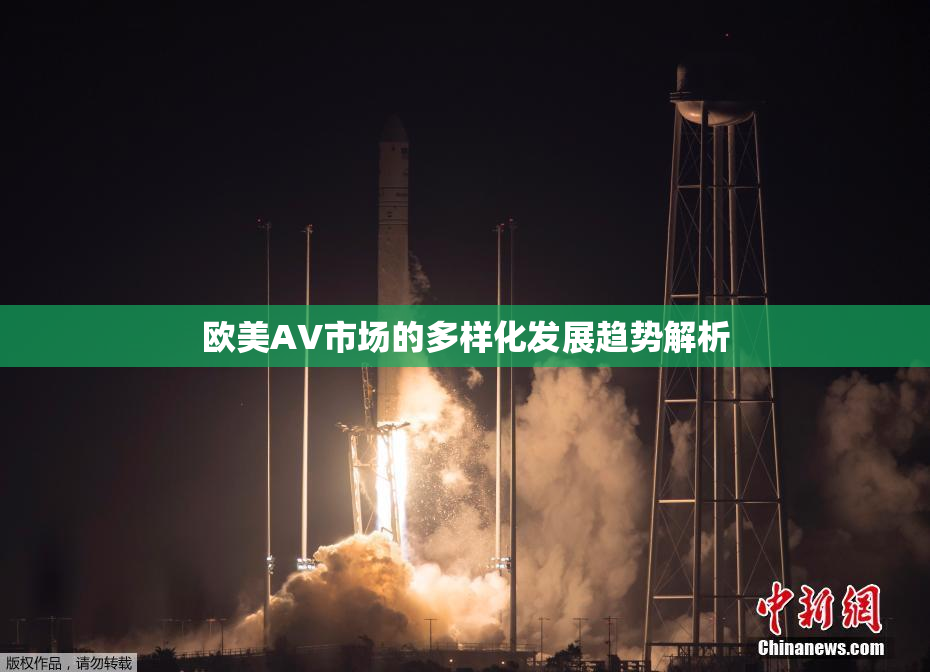 欧美AV市场的多样化发展趋势解析