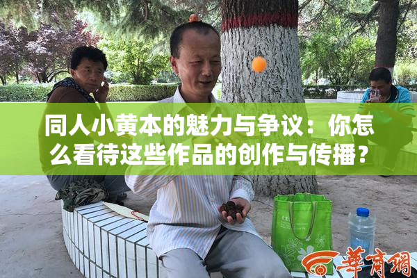 同人小黄本的魅力与争议：你怎么看待这些作品的创作与传播？