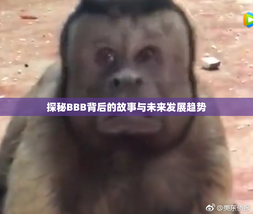 探秘BBB背后的故事与未来发展趋势