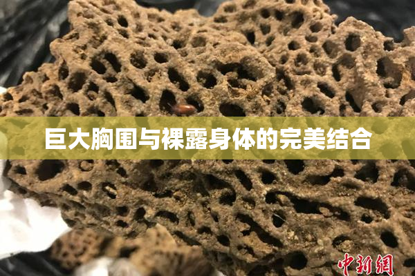 巨大胸围与裸露身体的完美结合
