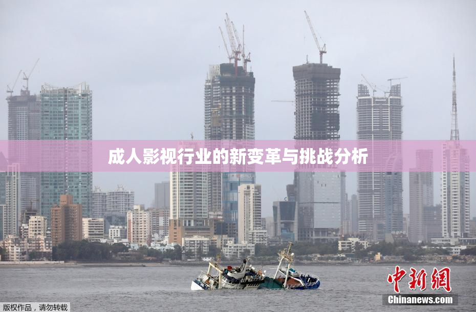 成人影视行业的新变革与挑战分析