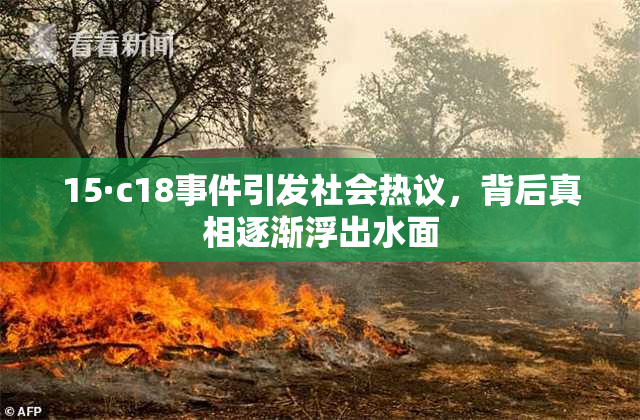 15·c18事件引发社会热议，背后真相逐渐浮出水面